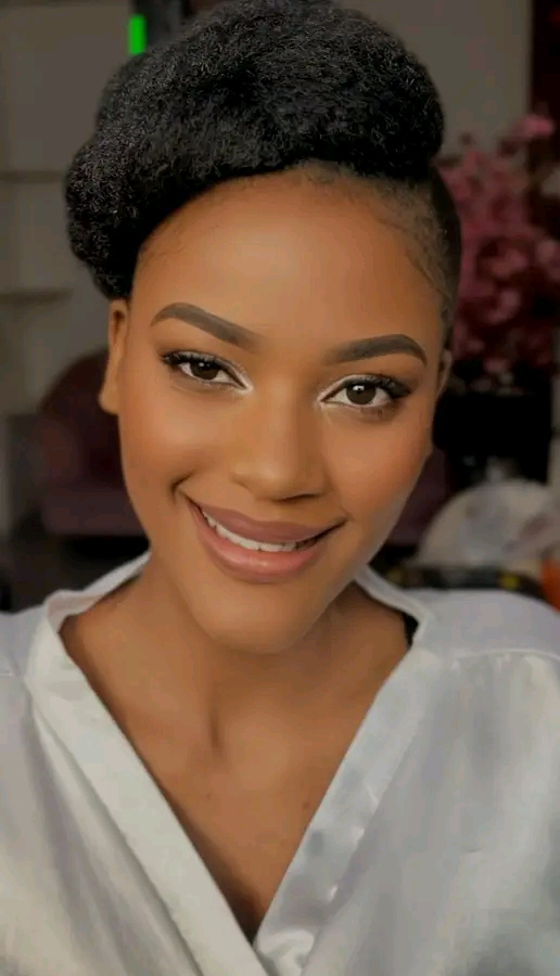 Braided style with highlights
